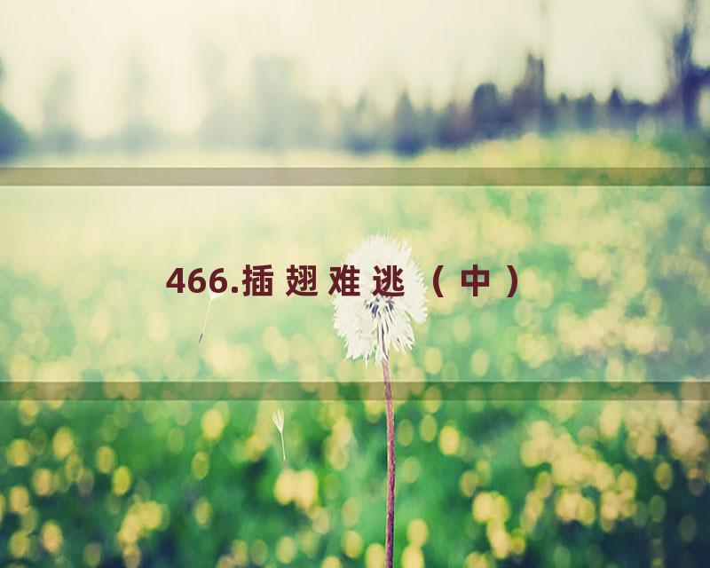 466.插翅难逃（中）