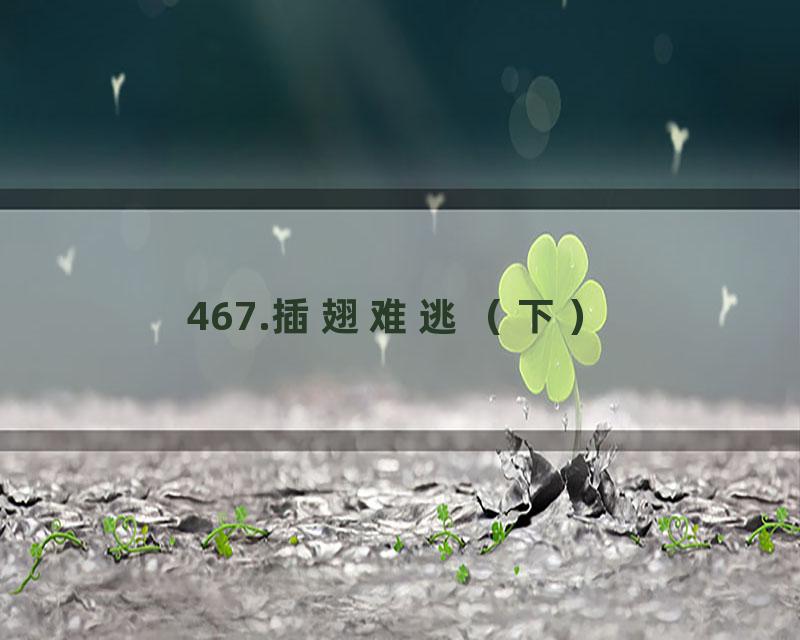 467.插翅难逃（下）