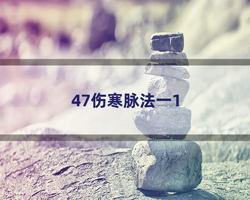 47伤寒脉法一1