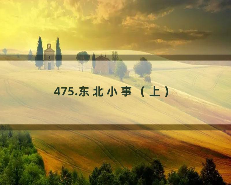 475.东北小事（上）