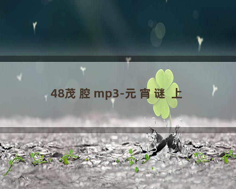 48茂腔mp3-元宵谜 上