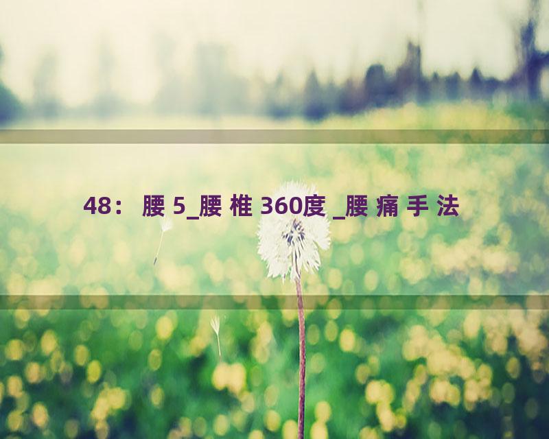 48：腰5_腰椎360度_腰痛手法