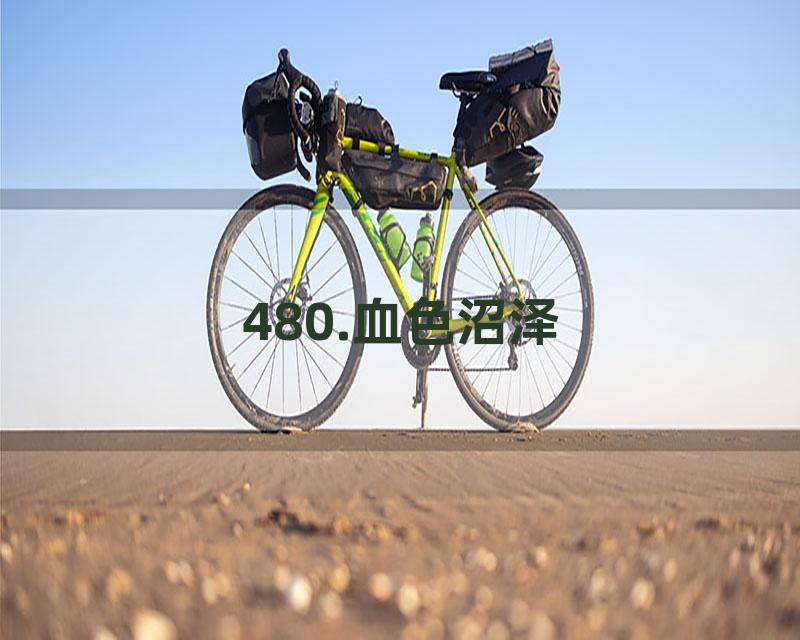 480.血色沼泽