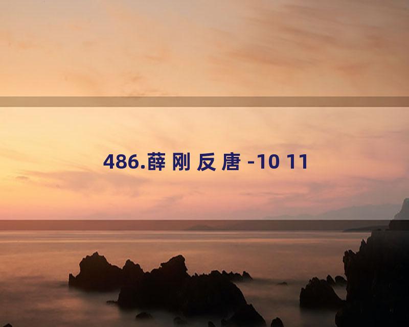 486.薛刚反唐-10 11