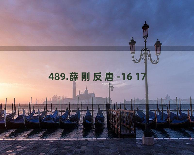 489.薛刚反唐-16 17