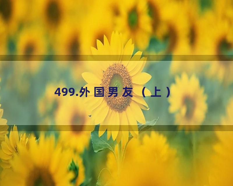 499.外国男友（上）
