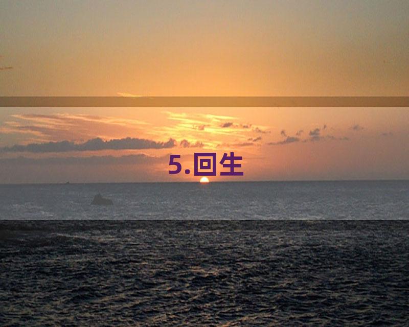 5.回生