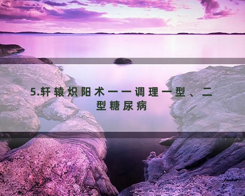 5.轩辕炽阳术一一调理一型、二型糖尿病