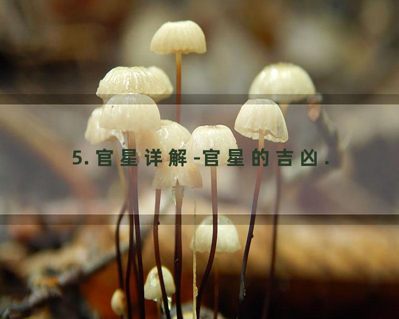 5. 官星详解-官星的吉凶.
