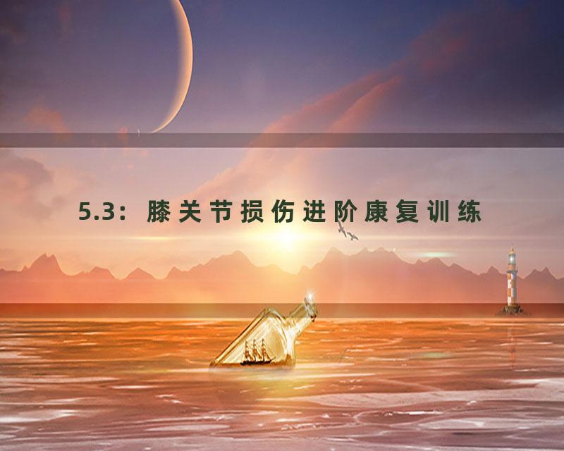 5.3：膝关节损伤进阶康复训练