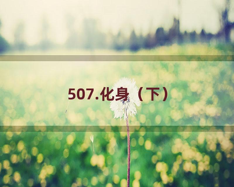 507.化身（下）
