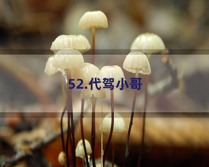 52.代驾小哥