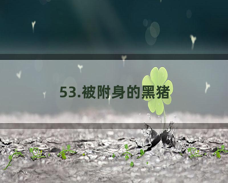 53.被附身的黑猪