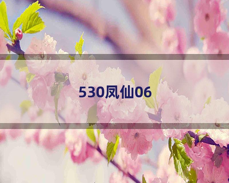 530凤仙06