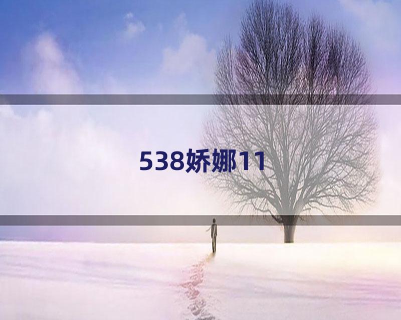 538娇娜11