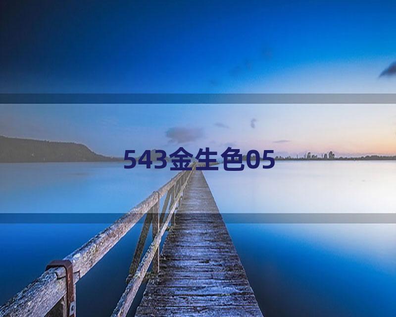 543金生色05