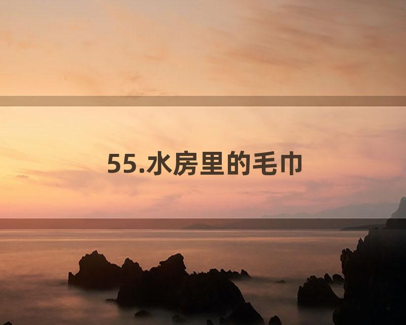 55.水房里的毛巾