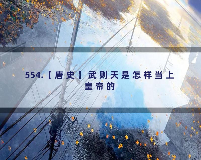 554.【唐史】武则天是怎样当上皇帝的