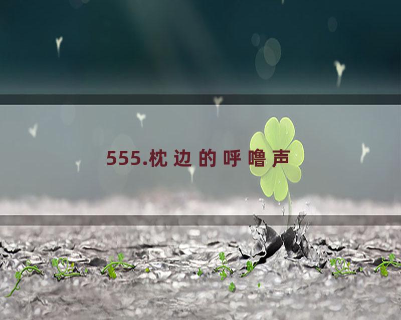 555.枕边的呼噜声