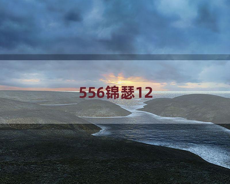 556锦瑟12