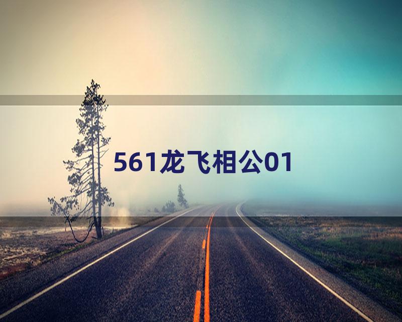 561龙飞相公01