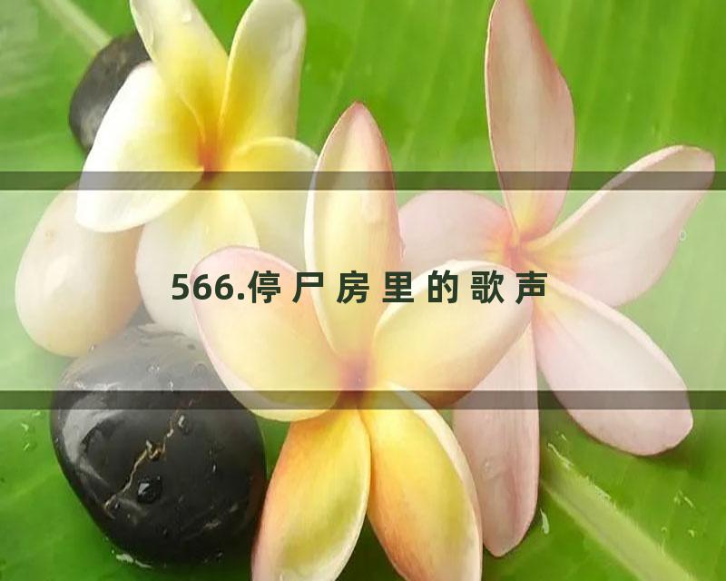 566.停尸房里的歌声
