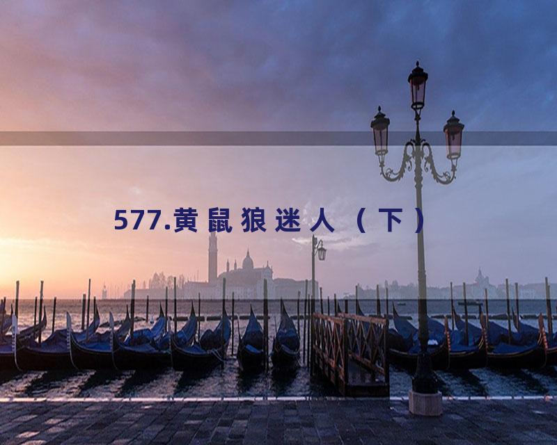 577.黄鼠狼迷人（下）