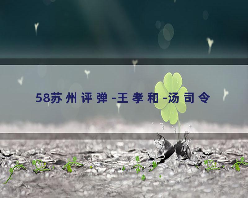 58苏州评弹-王孝和-汤司令