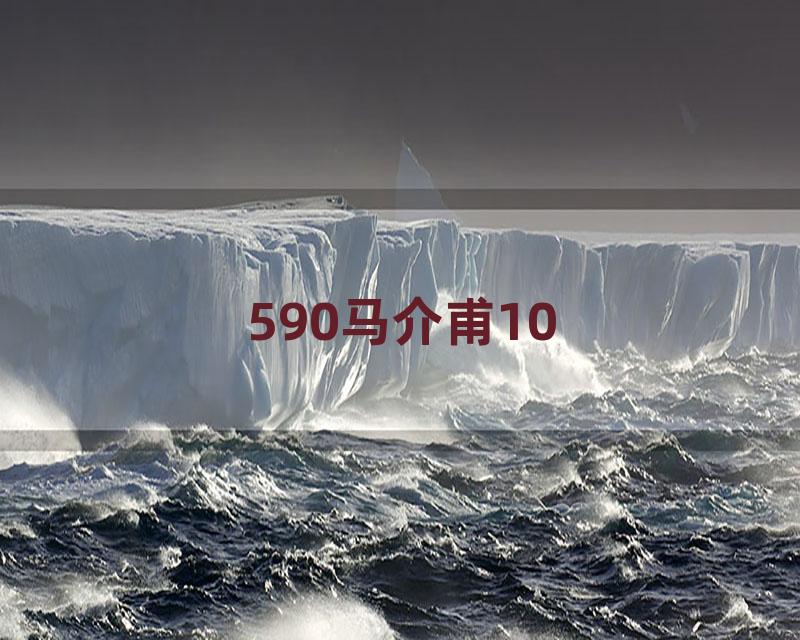 590马介甫10