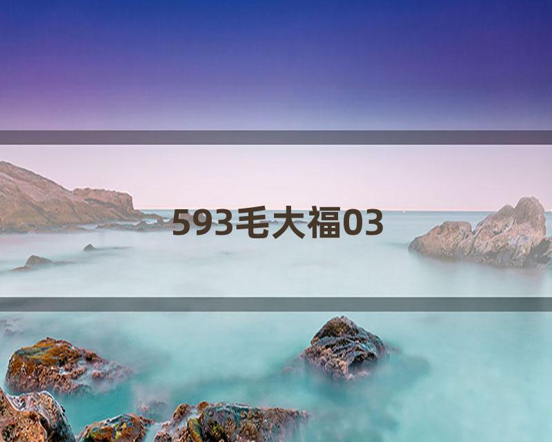 593毛大福03