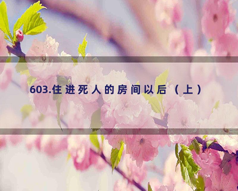 603.住进死人的房间以后（上）