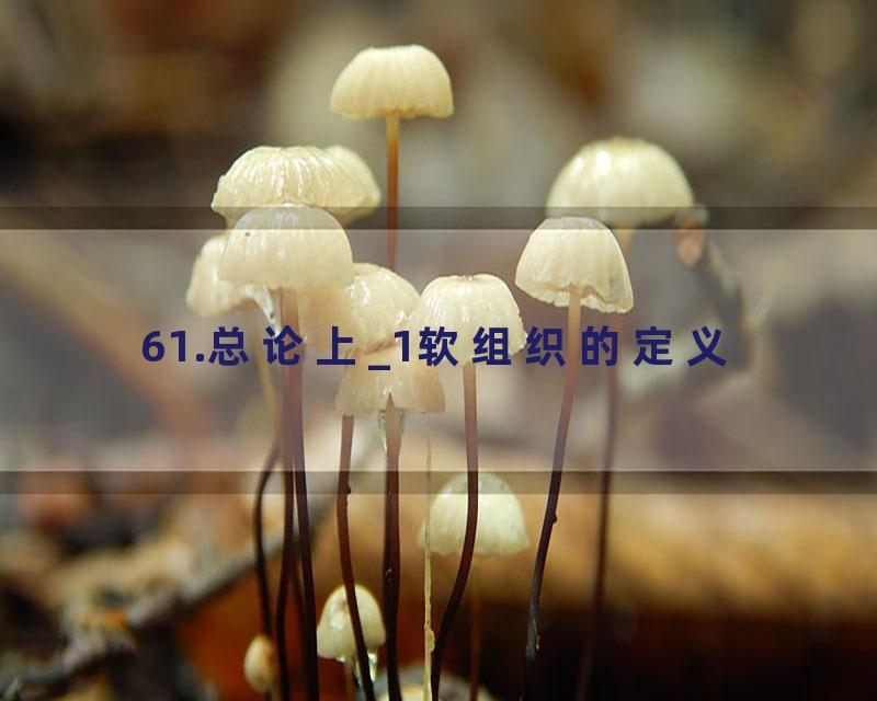 61.总论上_1软组织的定义