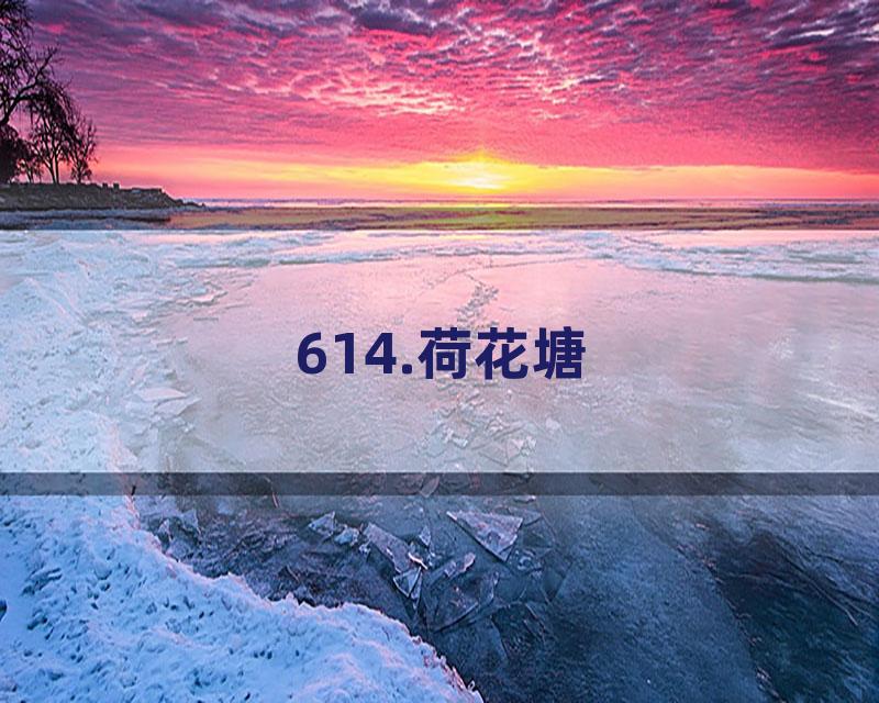 614.荷花塘