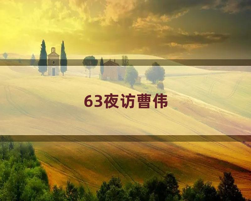 63夜访曹伟