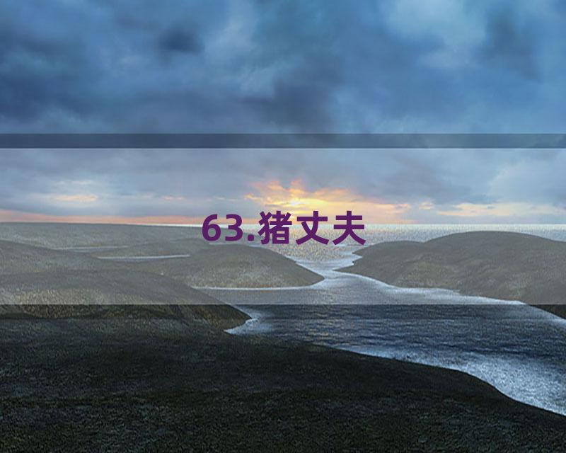 63.猪丈夫