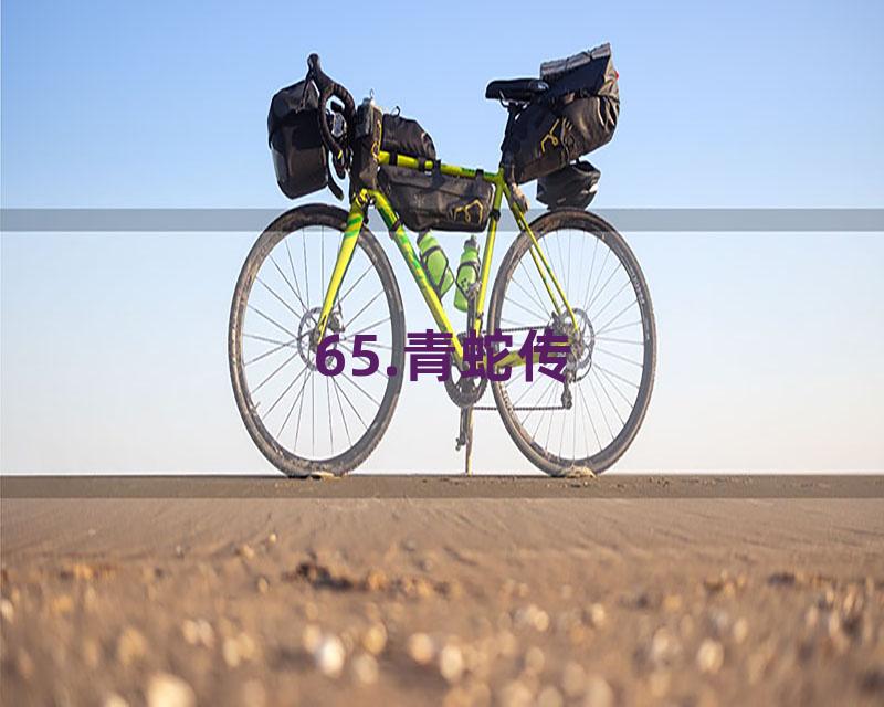 65.青蛇传