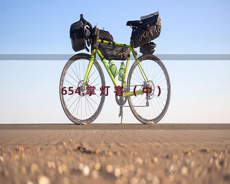 654.掌灯客（中）