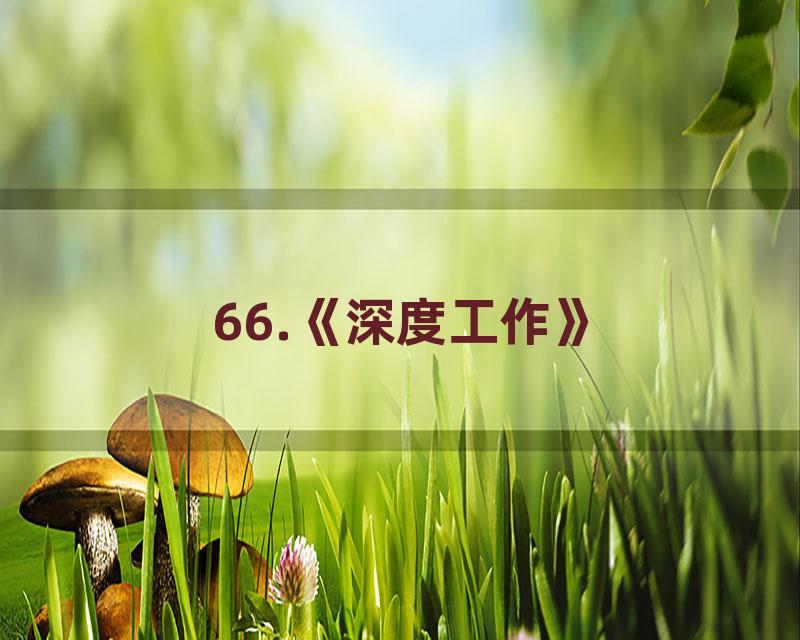 66.《深度工作》