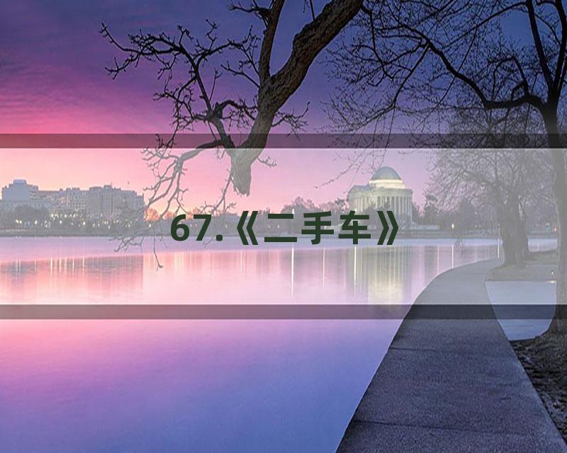 67.《二手车》