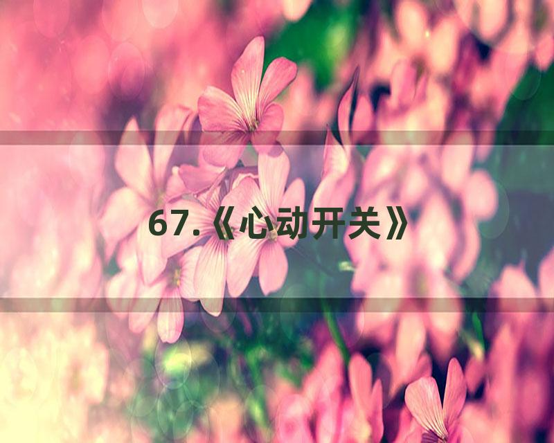 67.《心动开关》
