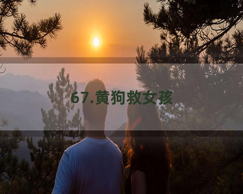 67.黄狗救女孩