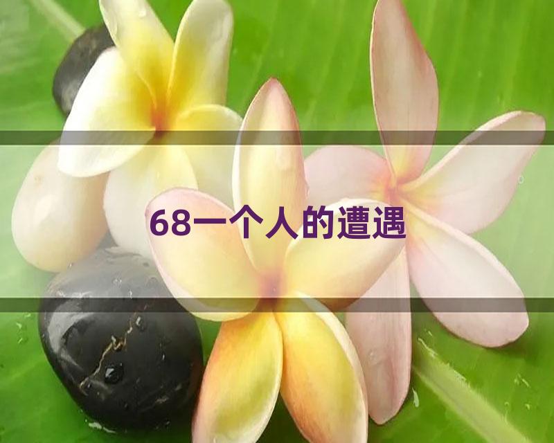 68一个人的遭遇