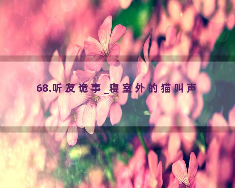 68.听友诡事_寝室外的猫叫声