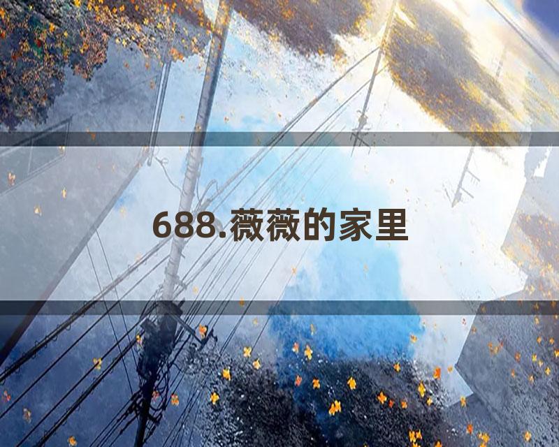 688.薇薇的家里