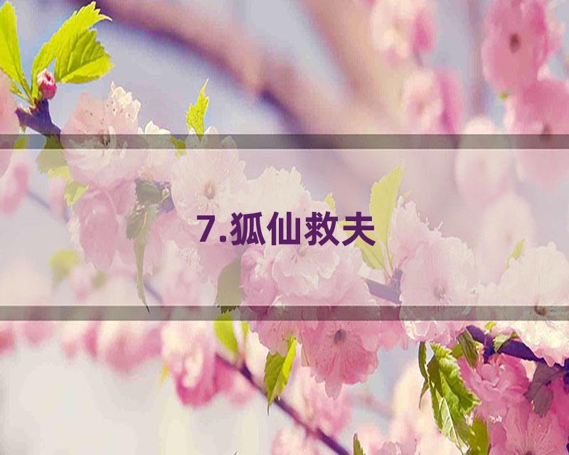 7.狐仙救夫