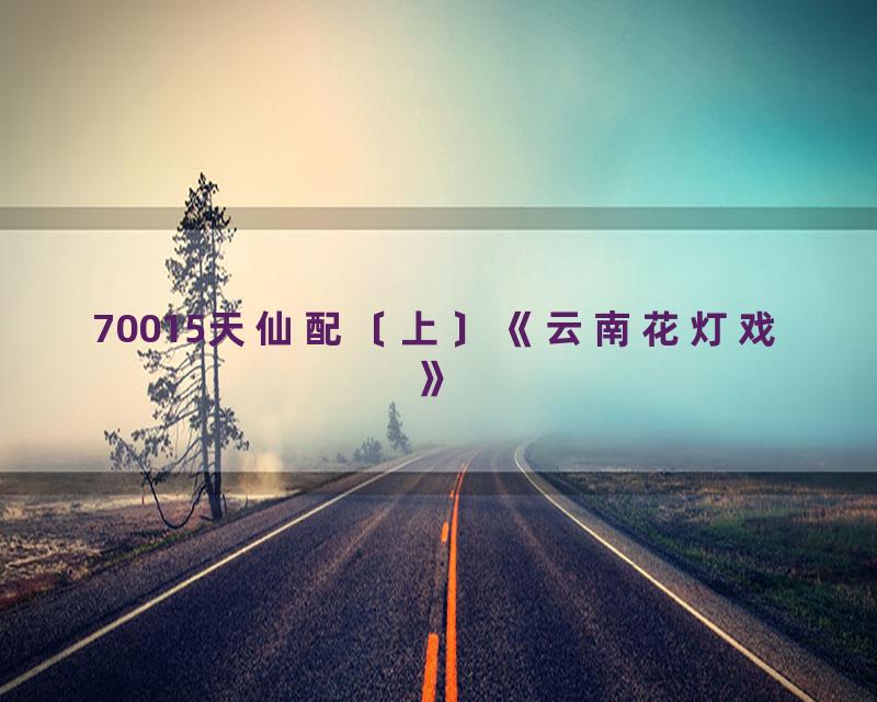 70015天仙配〔上〕《云南花灯戏》