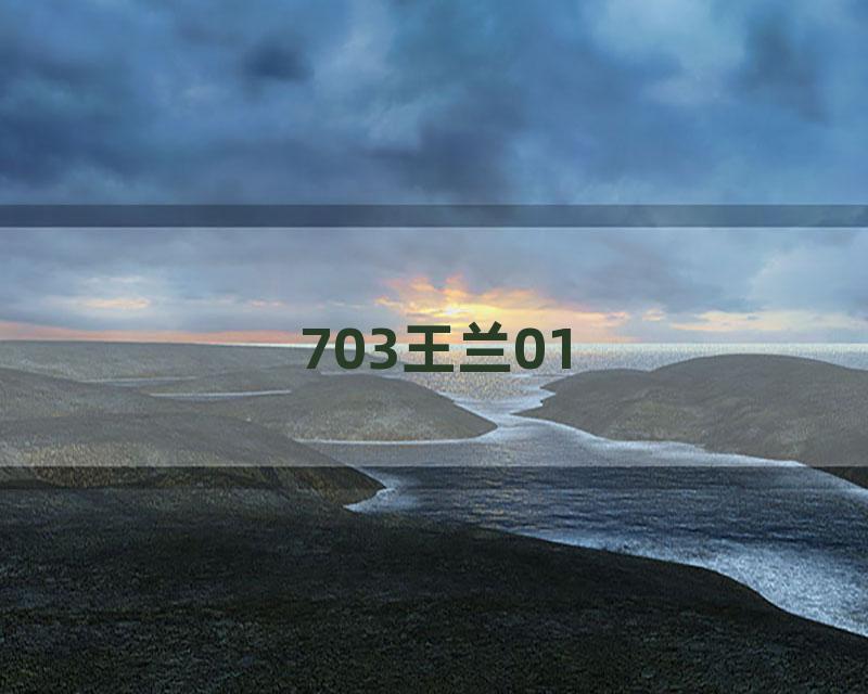 703王兰01