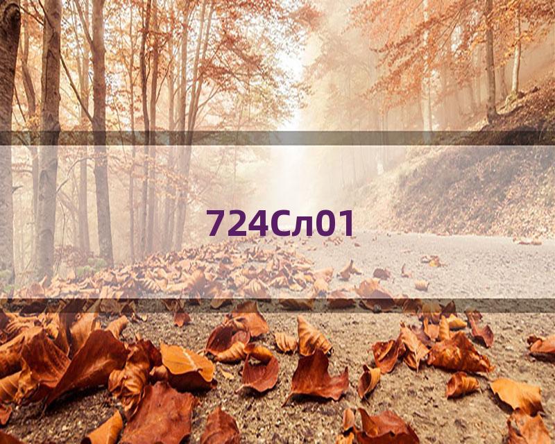724Сл01
