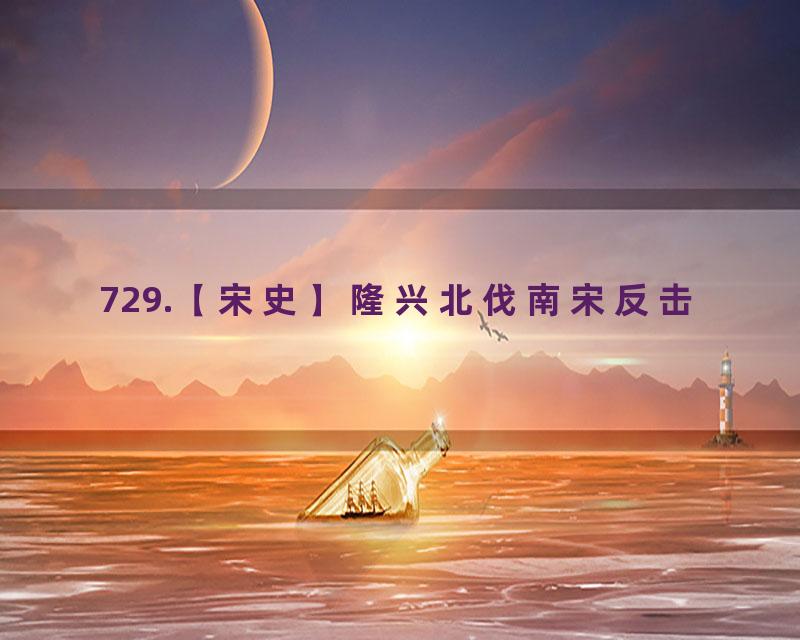 729.【宋史】隆兴北伐南宋反击