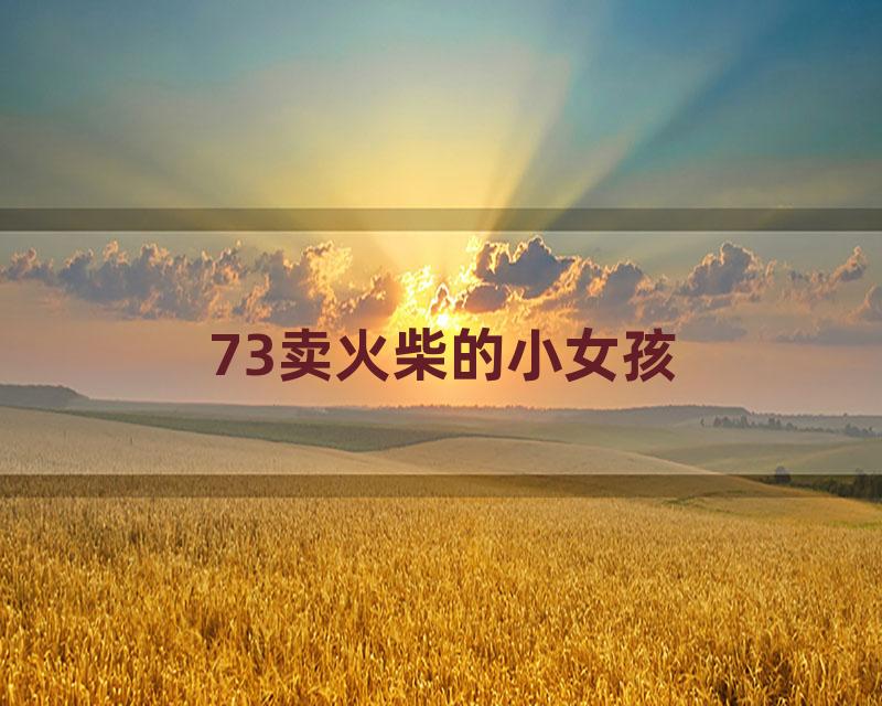 73卖火柴的小女孩